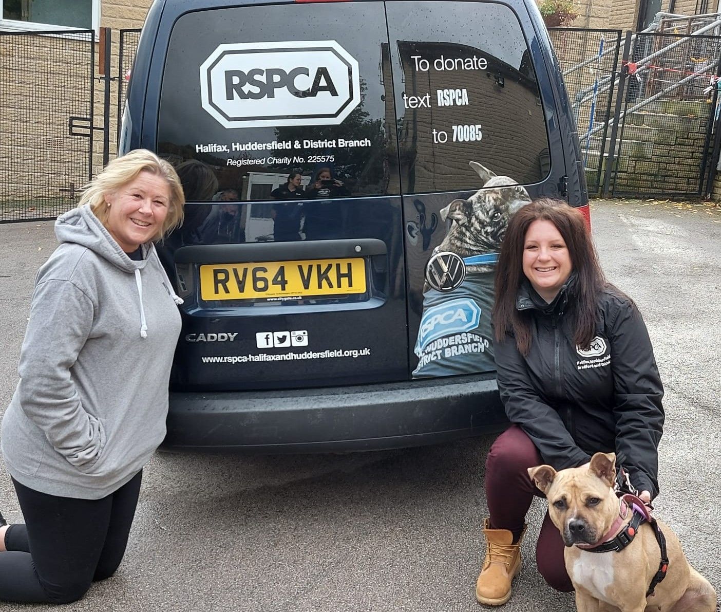 Holiday bookings helping Yorkshire animals in need