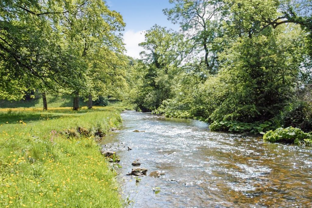 Stretch of Yorkshire Dales countryside and fishing rights will hook buyers