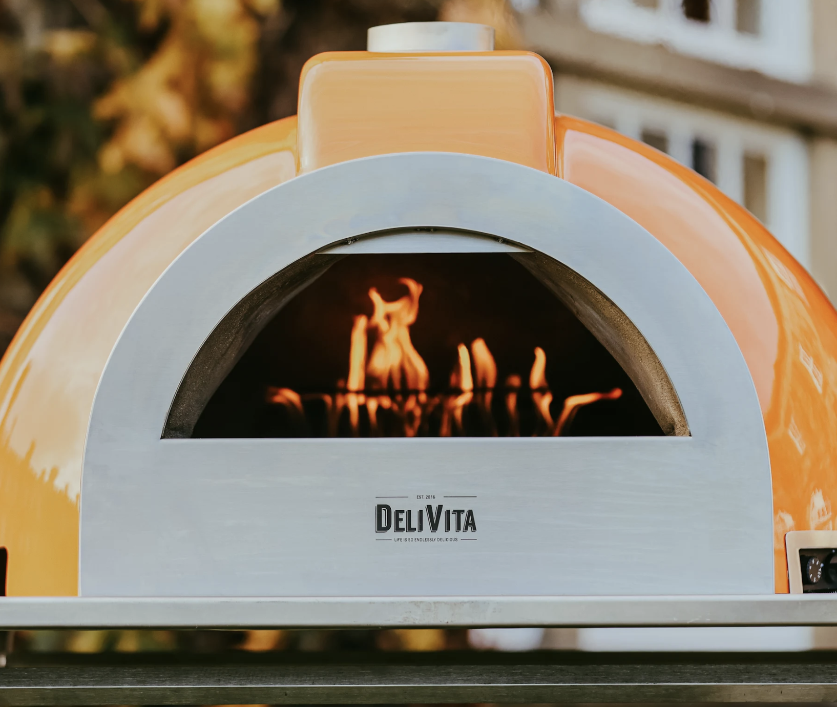 DeliVita launches its first professional wood-fired oven