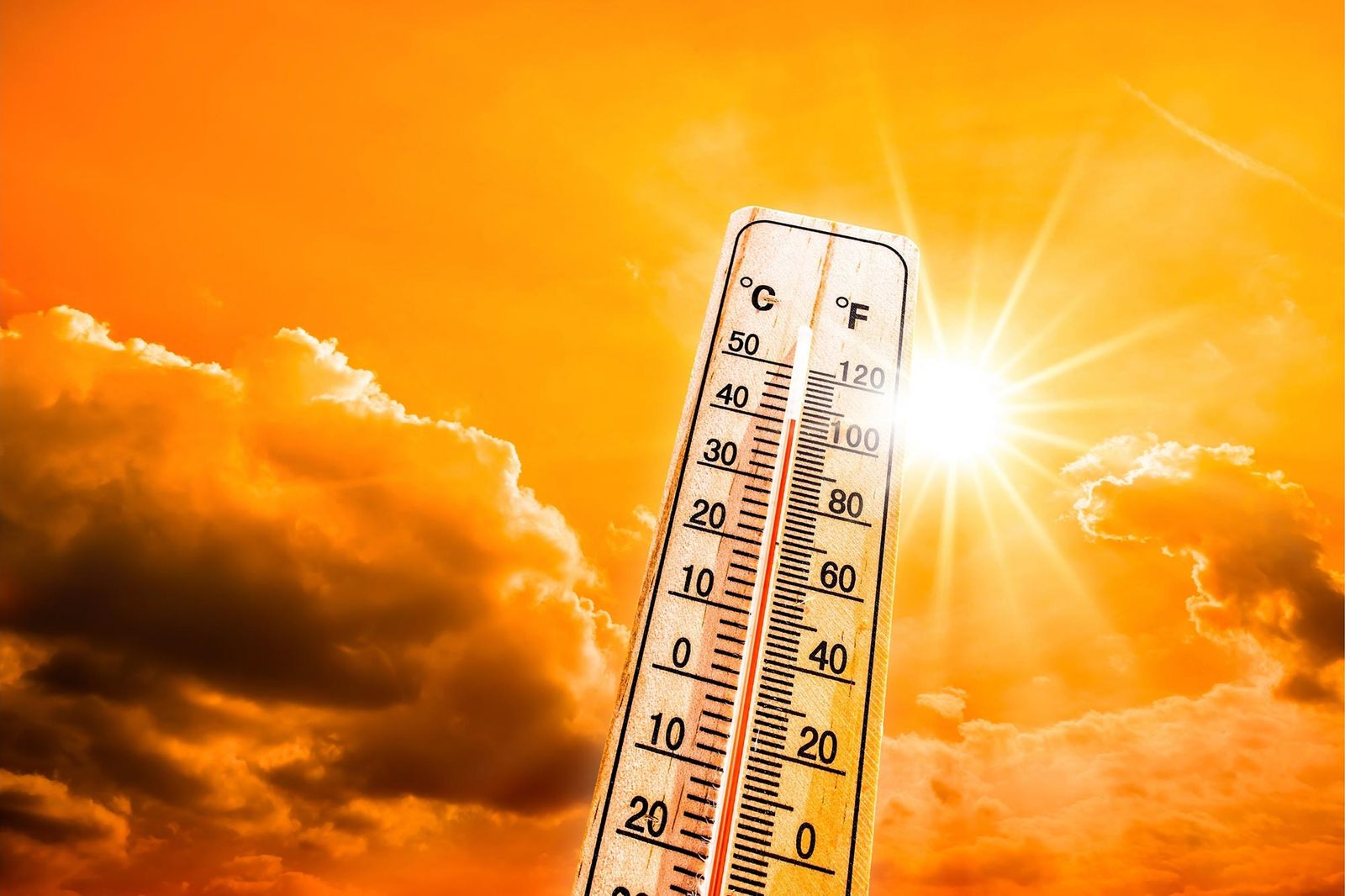 Heatwave alert from Leeds City Council