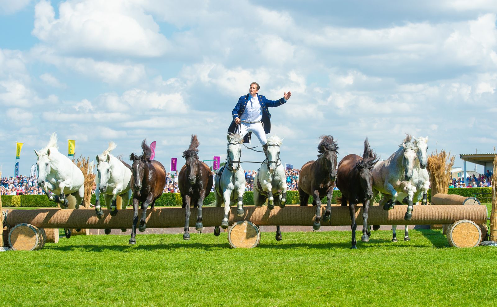 Lorenzo announced as main ring performer at Great Yorkshire Show 2023