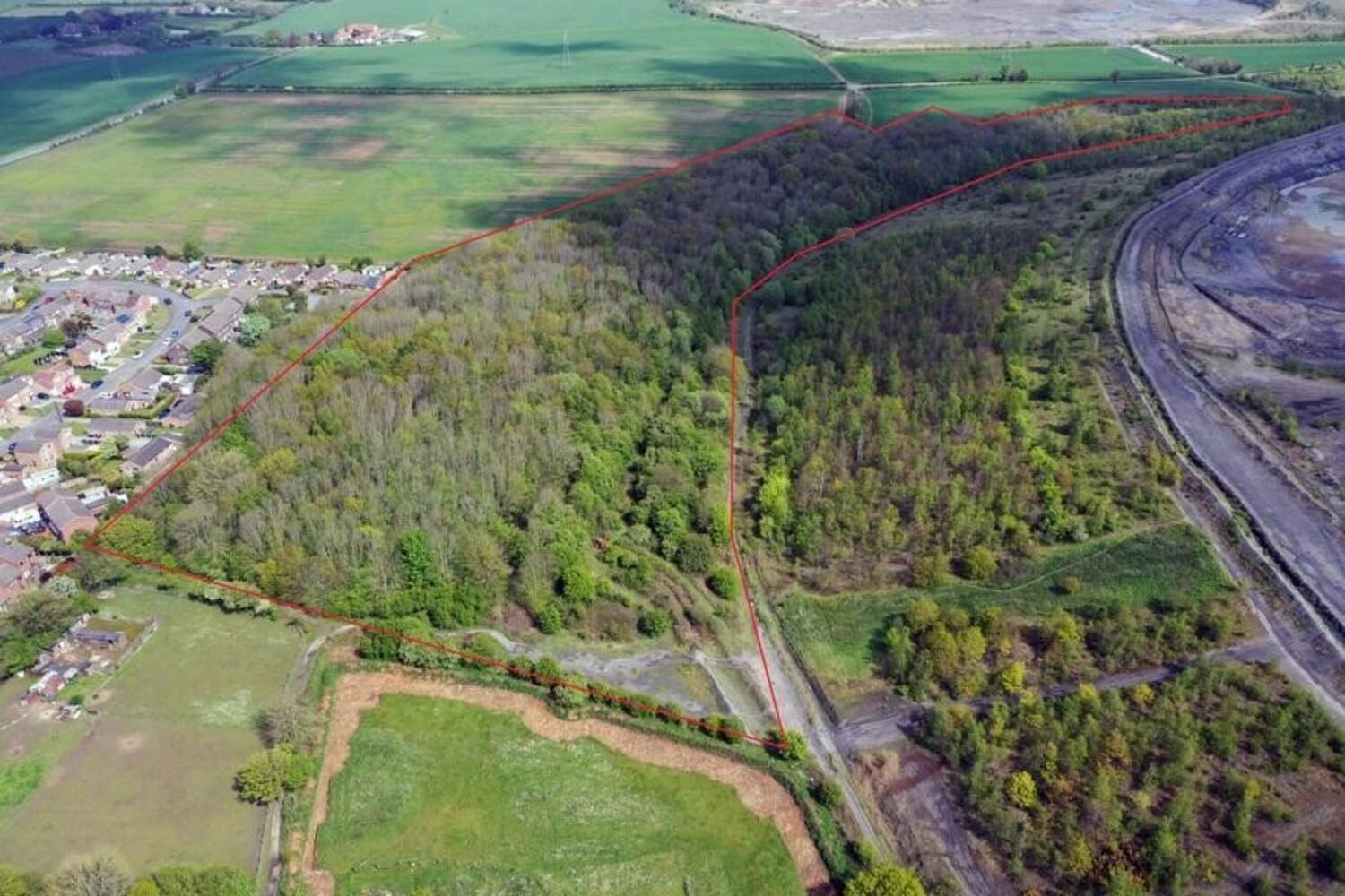 Ancient woodland at Maltby near Rotherham up for auction