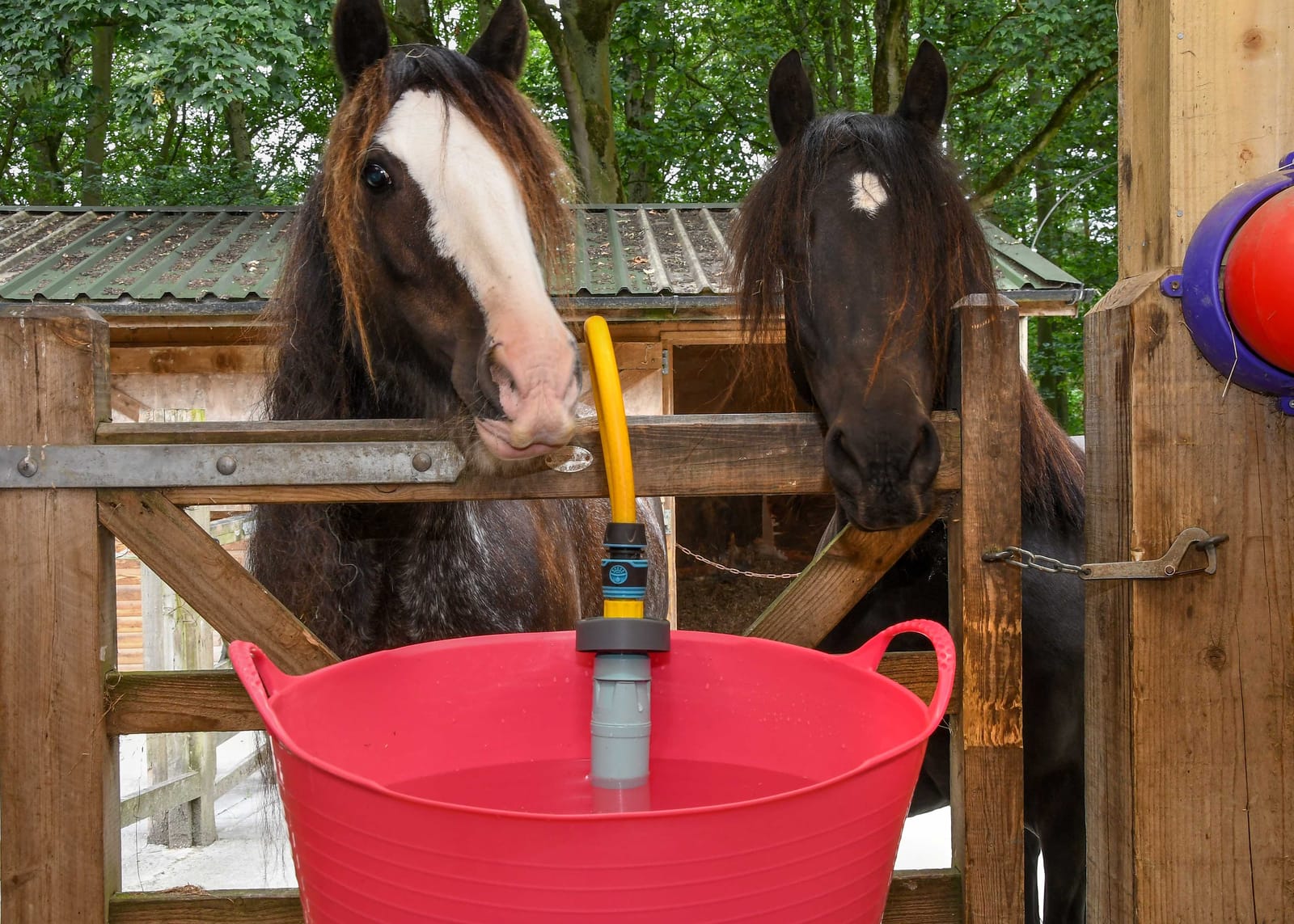 Yorkshire couple making waves with new invention
