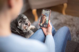 Online vet launches 24/7 service