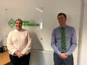 More growth for Synergos Consultancy