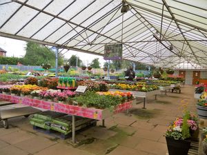New jobs and £1m investment as East Yorkshire garden centre
