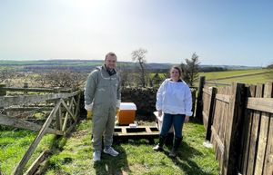 York bee innovator causes a buzz around the world