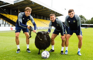Black Sheep Brewery helps Harrogate Town A.F.C welcome fans back to the Club