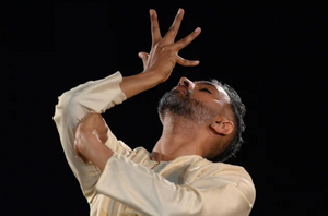 Reflections of an Indian Dancer takes audiences on a beautiful journey