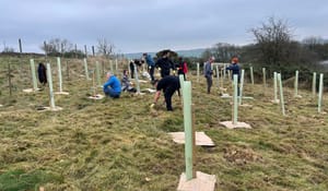 Woman edges closer to goal of growing 5,000 trees by her 85th birthday