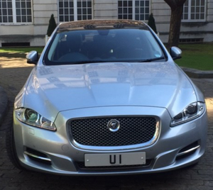 Bidders invited to step up to the plate as historic sale begins