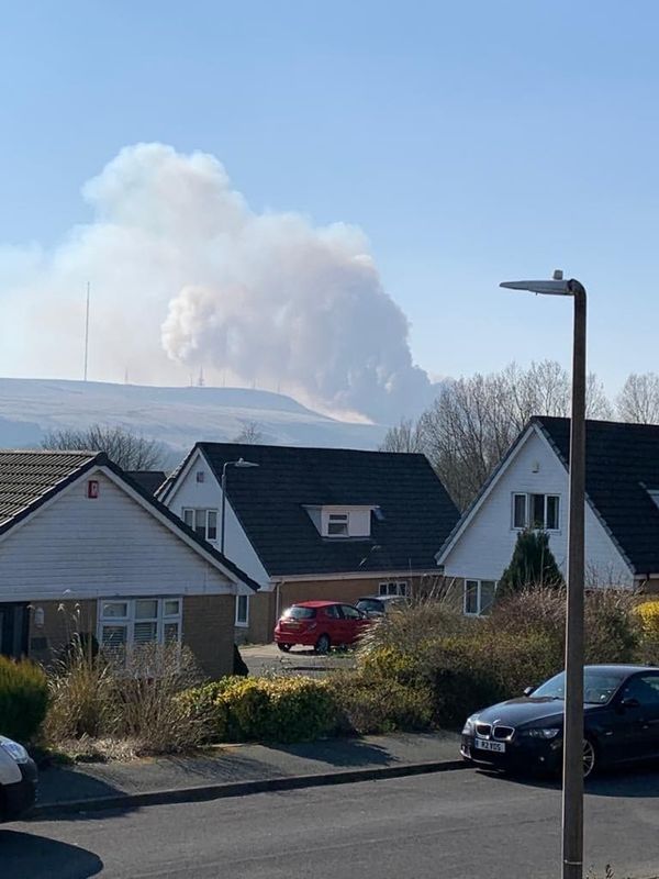 Gamekeepers on Guard