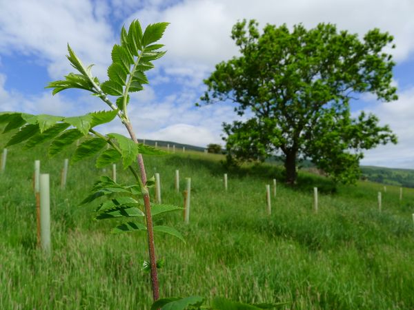Welcome to Yorkshire shows solid roots as personal membership scheme flourishes