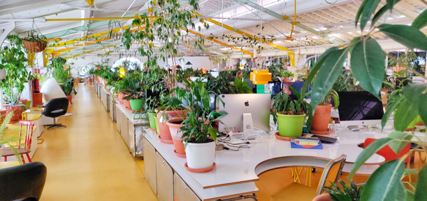 Leeds technology and engineering consultancy, expands into Portugal