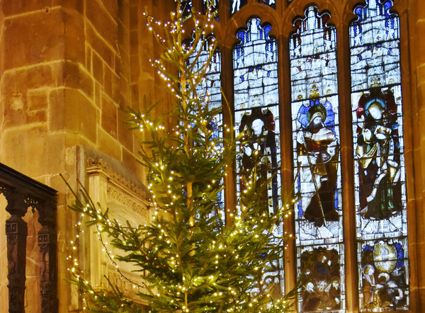 Hospice launches Light up a Life appeal this Christmas