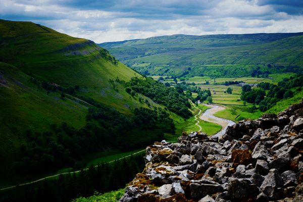 Planting trees in the Yorkshire Dales and ridding the ocean of plastic