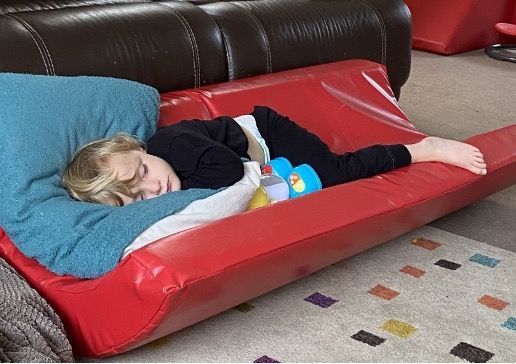 The Big Variety Christmas Appeal 2020