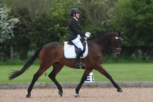 Woodward Financials sponsors Olympic dressage hopeful