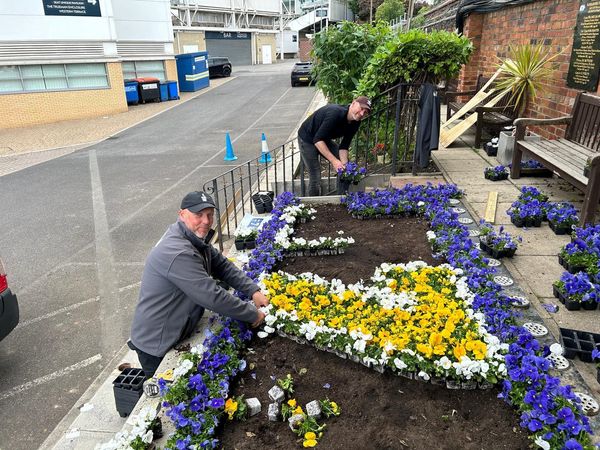 Yorkshire-grown plants selected to honour rugby legend